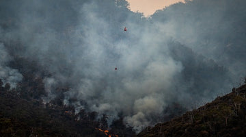 How Australians Can Prepare for Possible Bushfires