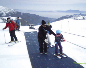 Mobi-Path Portable Access Pathways