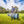 Photograph of man standing on grass lifting up a blue rolled up Mobi-Road from bright orange straps.