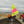 Sailing boat with bright yellow and pink sail being rolled on wheels along a Mobi-Boat Ramp mat that has been rolled out on sand on a long beach